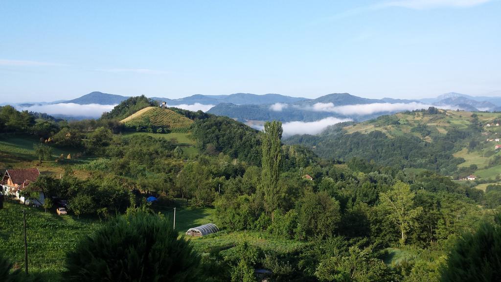 Lux Smestaj Ivanjicki Konaci Ivanjica Rom bilde
