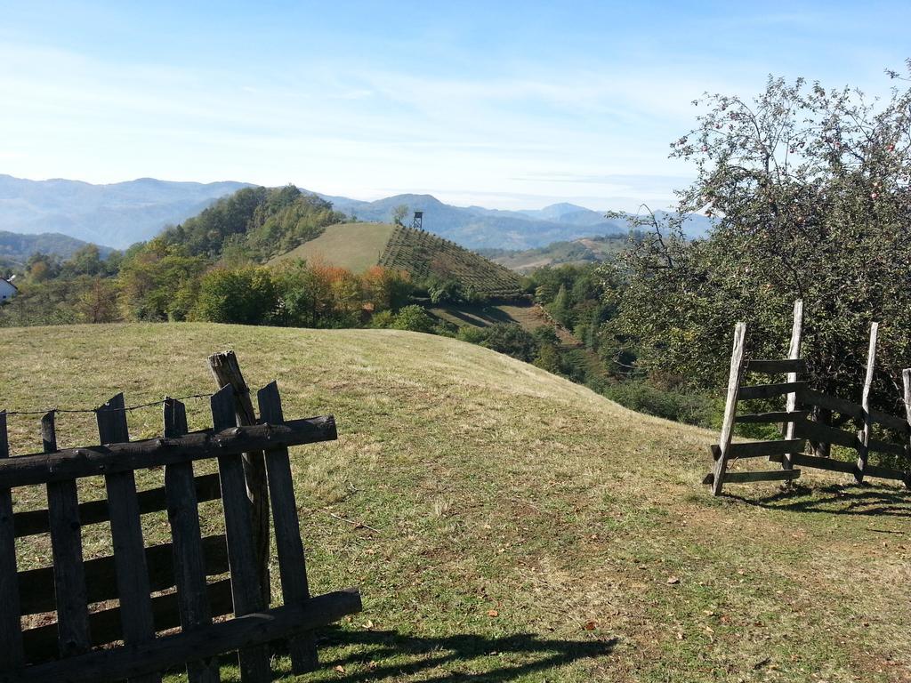 Lux Smestaj Ivanjicki Konaci Ivanjica Rom bilde